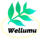 Wellumu合同会社 ｜ 医師と患者のコミュニケーションツール『ミテコレnavi』の開発・運営